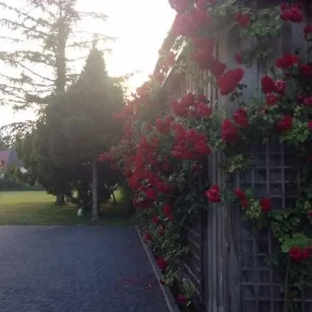 Haus Doris 아파트